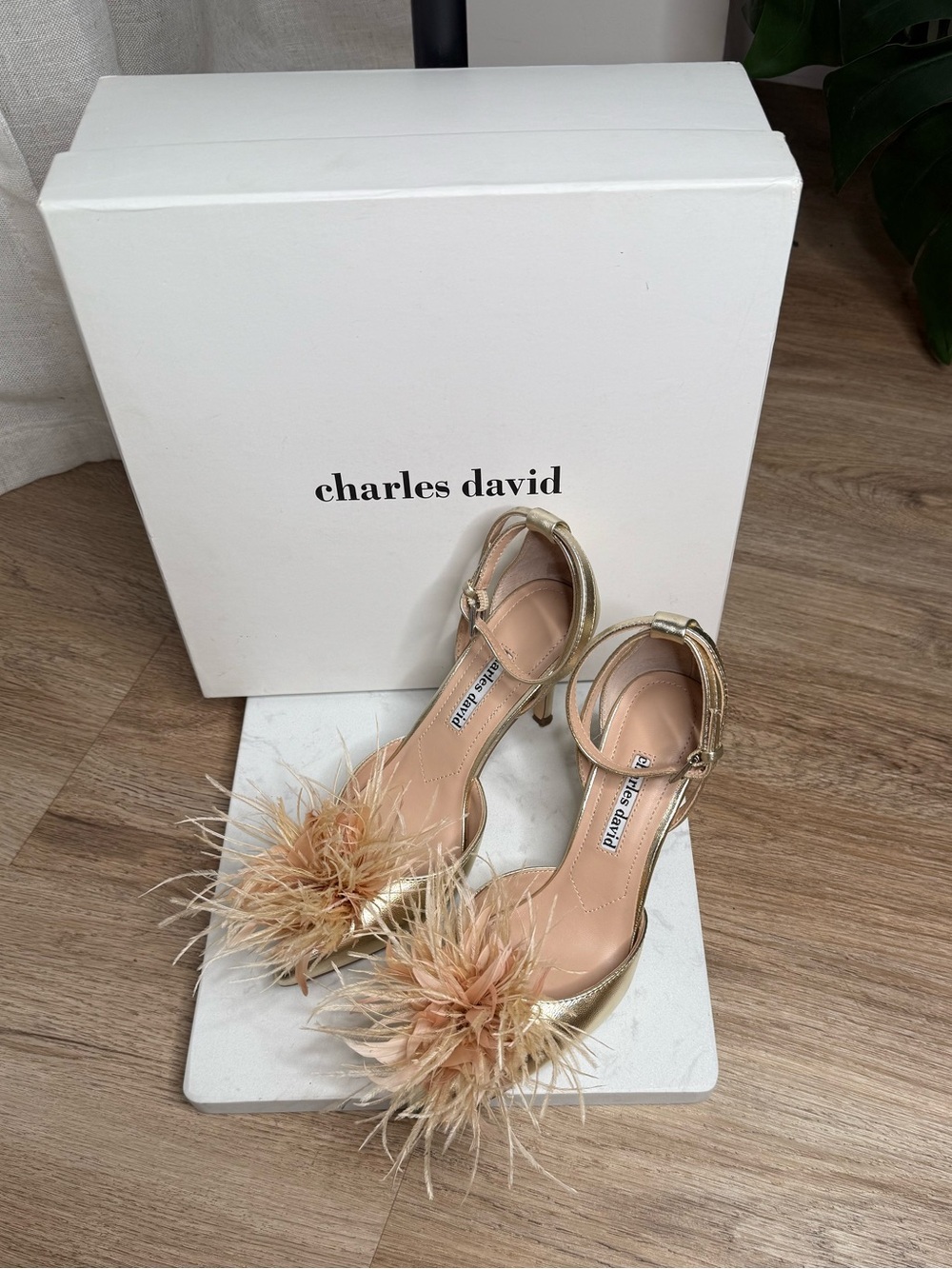 Charles David Violate Feather-Embellished d'Orsay Heels - Size 6.5